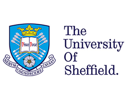 University of Sheffield 